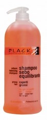 Shampoo SEBOEQUILIBRANTE 1000ml
